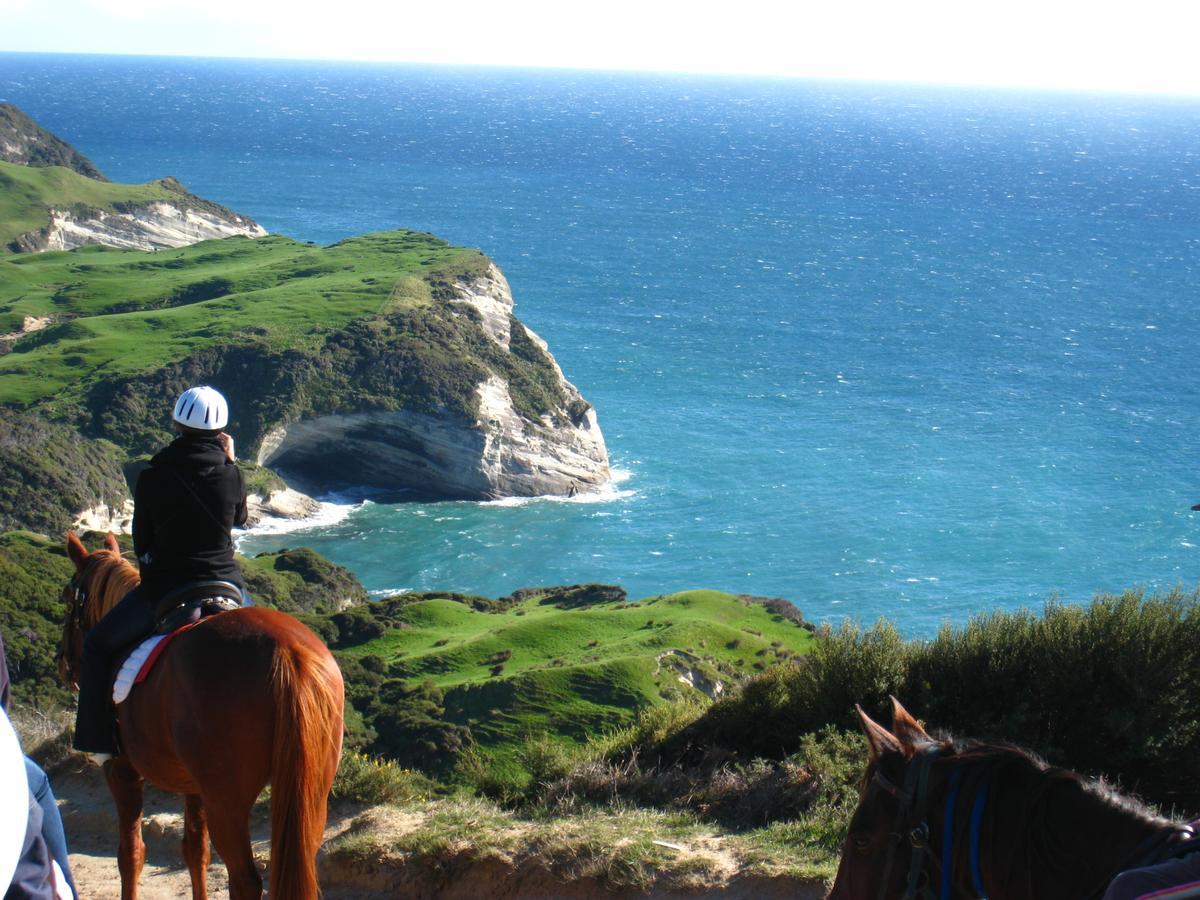 Annies Nirvana Lodge Backpackers Takaka Bagian luar foto