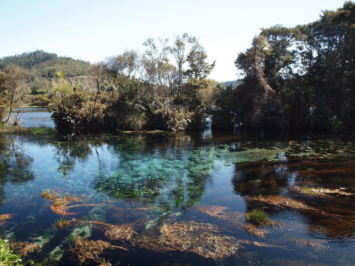 Annies Nirvana Lodge Backpackers Takaka Bagian luar foto