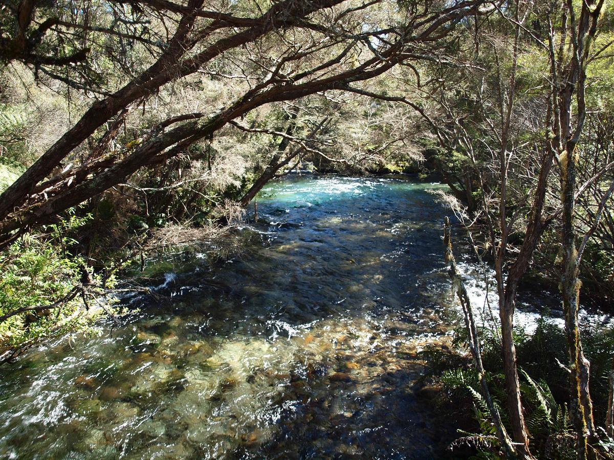 Annies Nirvana Lodge Backpackers Takaka Bagian luar foto
